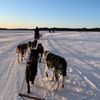 Single reis Lapland - avontuur!