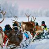 Single reis Lapland - avontuur!