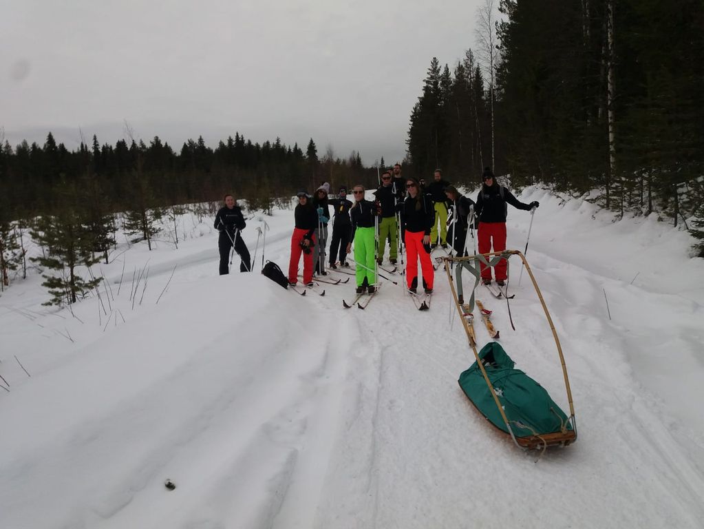 Sami ski's