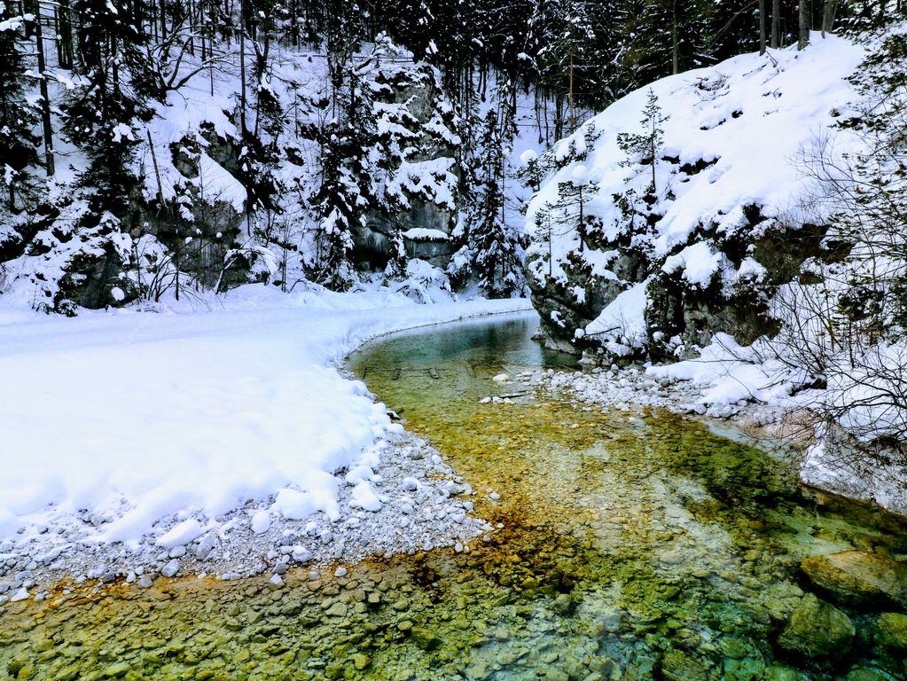 Bezoek Kranjska Gora en Zelenci natuurreservaat