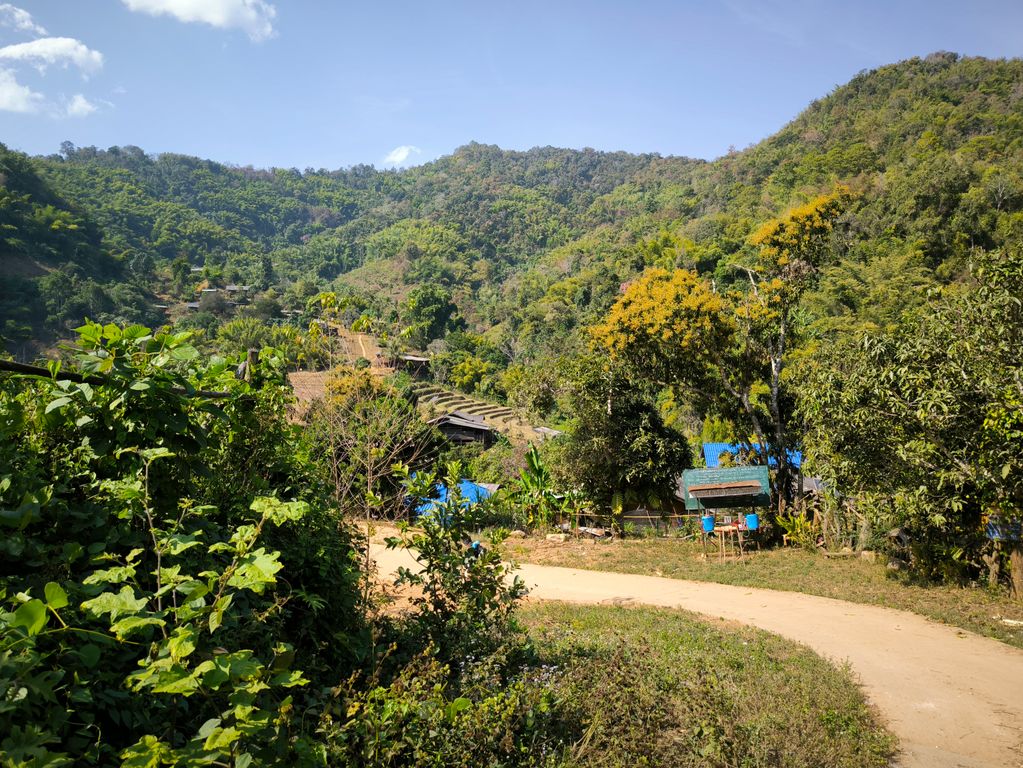 jungle trekking thailand gids feb 2024 10