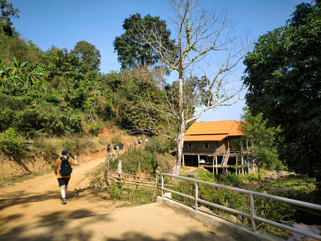 jungle trekking thailand gids feb 2024 11