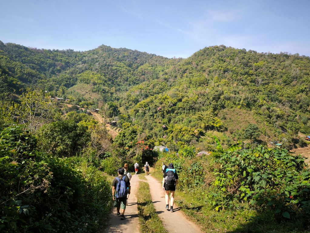 jungle trekking thailand gids feb 2024 9