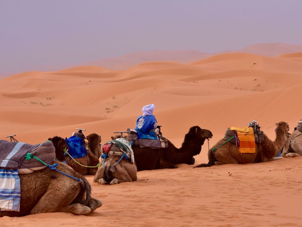 merzouga woestijn marokko winter groepsreis mei 2022 83