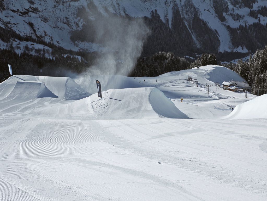 Grindelwald snowpark freeski (optioneel)