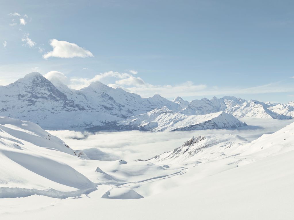 Grindelwald Zwitserland