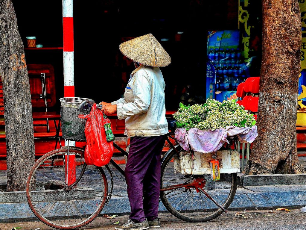 Hanoi   Vietnam