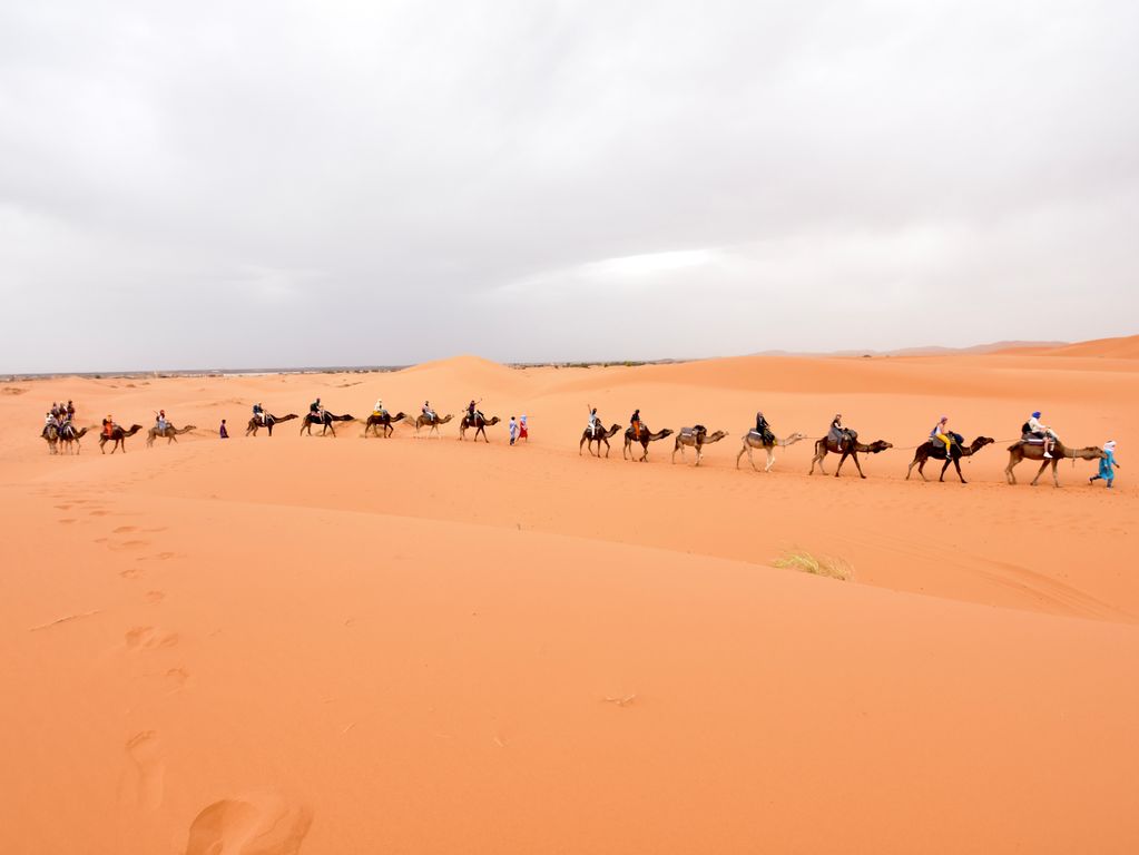 Kameelrijden Sahara