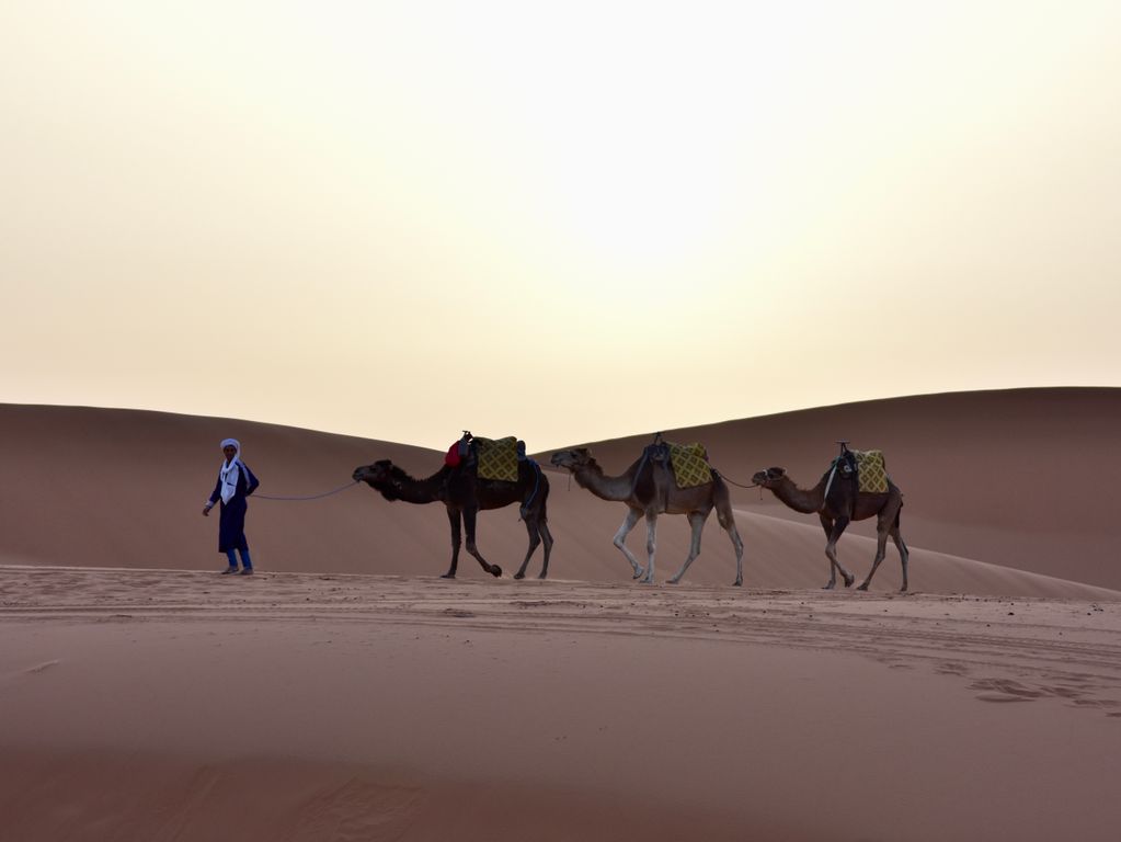 Merzouga woestijn