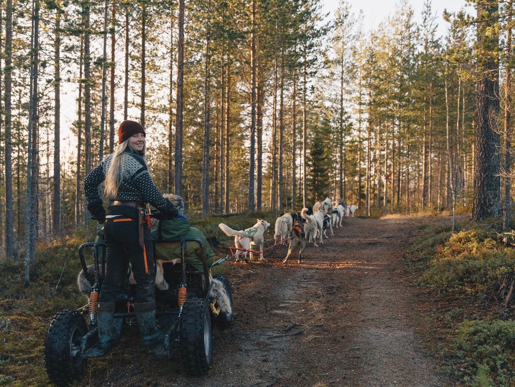 Mushing husky rit