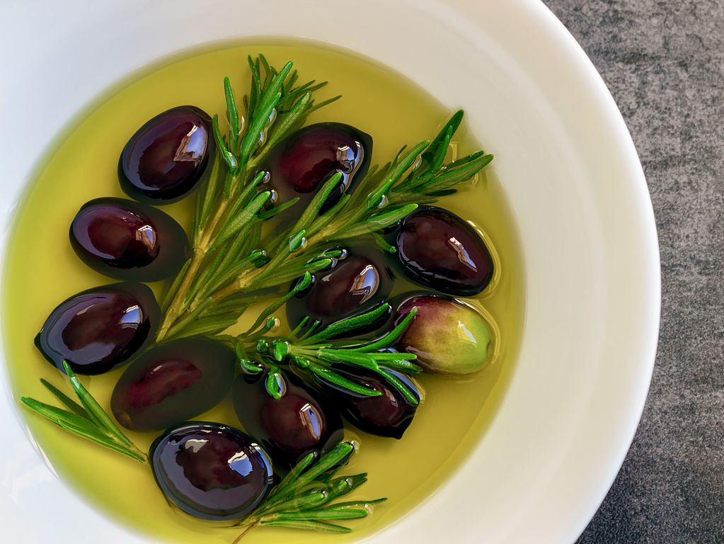 Olive oil farm