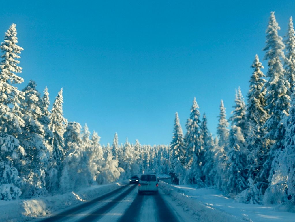 Omgeving winter Zweden