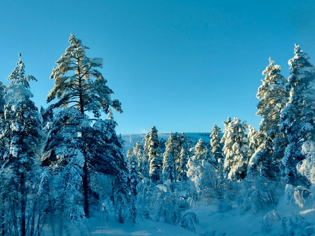 Omgeving winter Zweden