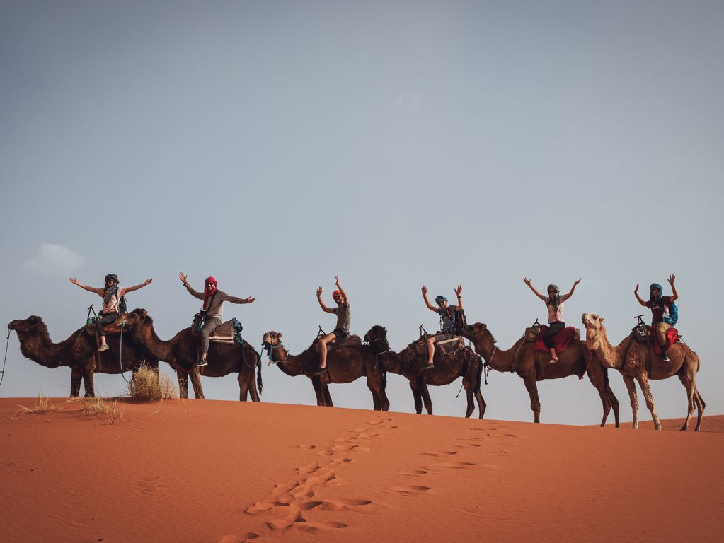 Rit op kameel woestijn