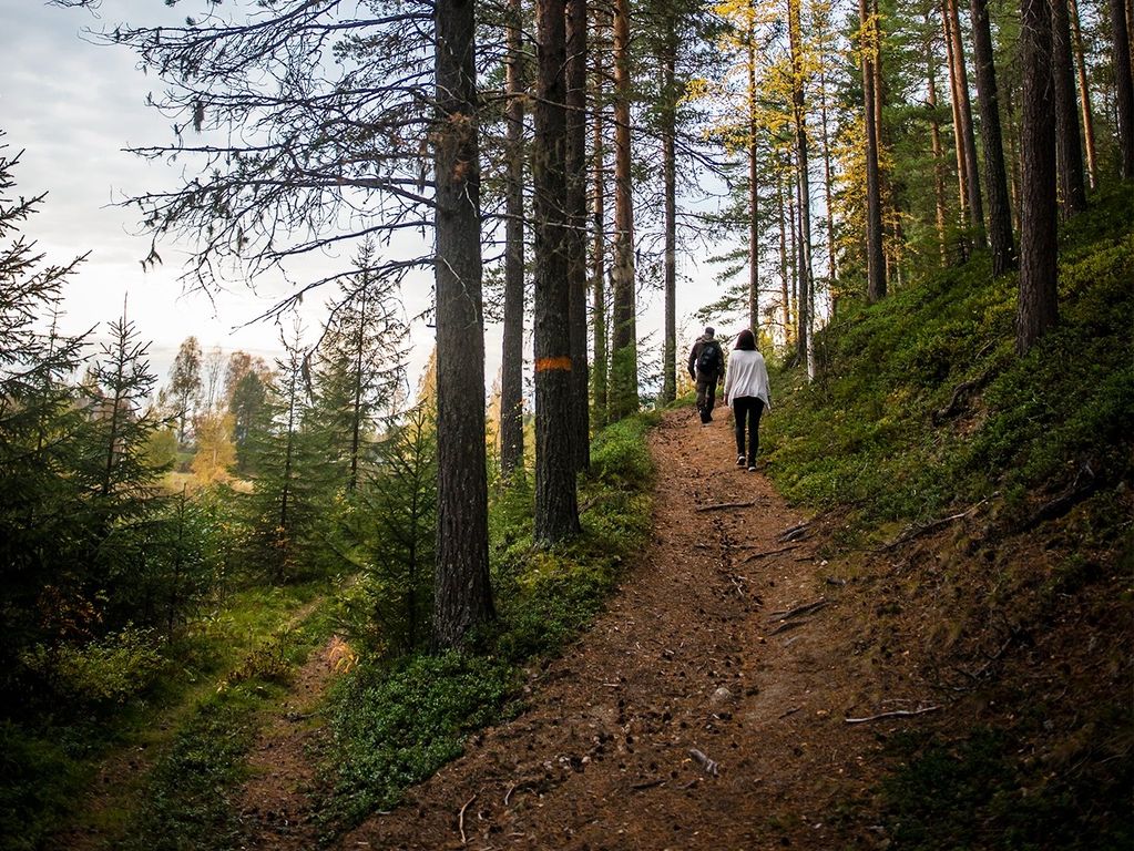 Wandelen Zweedse natuur