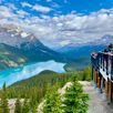 banff-national-park-icefields-parkway-peyto-lake-canada-2022-5