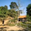 jungle trekking thailand gids feb 2024 11