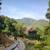 jungle trekking thailand gids feb 2024 6