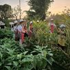 kookles boerderij chiang mai thailand gids feb 2024 9