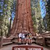 sequoia-national-park-californie-2023-44
