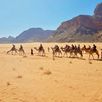 wadi-rum-kamelenrit-jordanie-1-BESTE