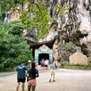 wat suwan kuha tempel phuket thailand gids feb 2024 1