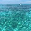 Heldere water bij de Florida Keys