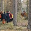 Hiken in de Zweedse natuur