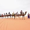 Kameelrijden Sahara