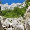 Natuur Slovenië