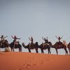 Rit op kameel woestijn