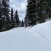 Ski  en fun groepsreizen Slovenië Italië