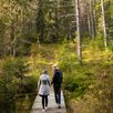 Wandelen Zweedse natuur