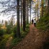 Wandelen Zweedse natuur