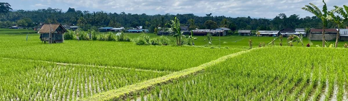 Vergelijk onze groepsreizen Azië