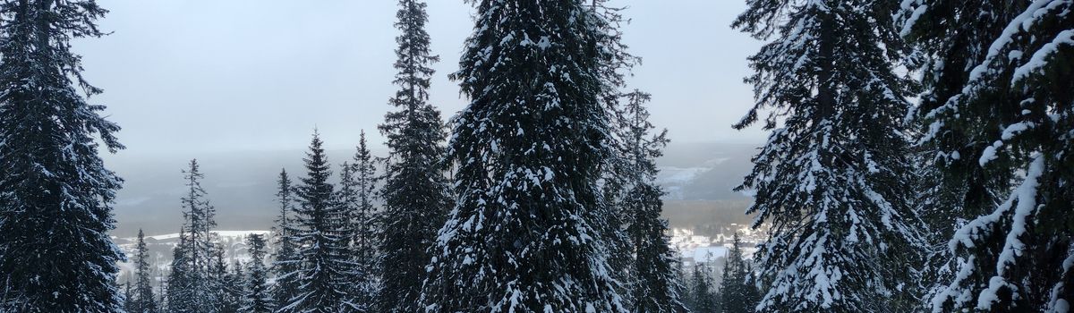Oud en nieuw vieren in het buitenland? - Groepsreis Zweden Winter