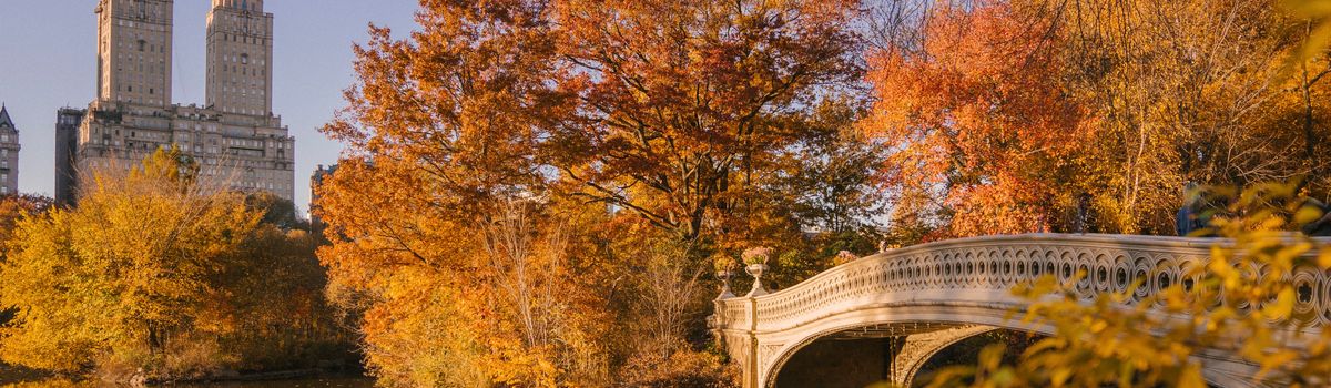 Nieuw: herfst roadtrip New England