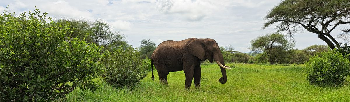 Waarom Tanzania op je bucketlist hoort!