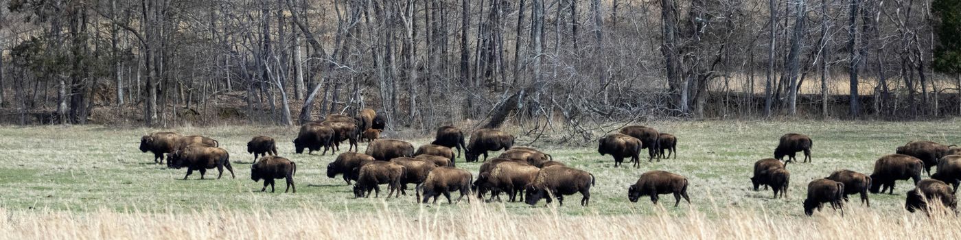 Lastminute singlereizen en jongerenreizen