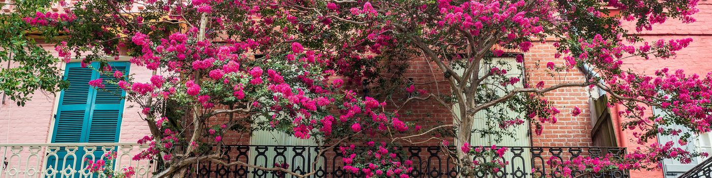 Lastminute singlereizen en jongerenreizen