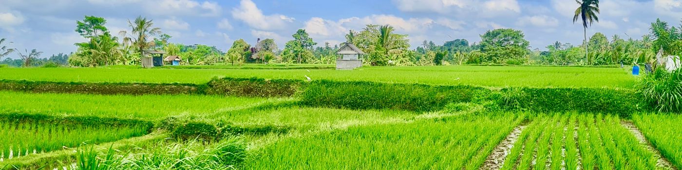 Lastminute singlereizen en jongerenreizen