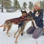 Winter groepsvakantie Zweden 18-32 jaar