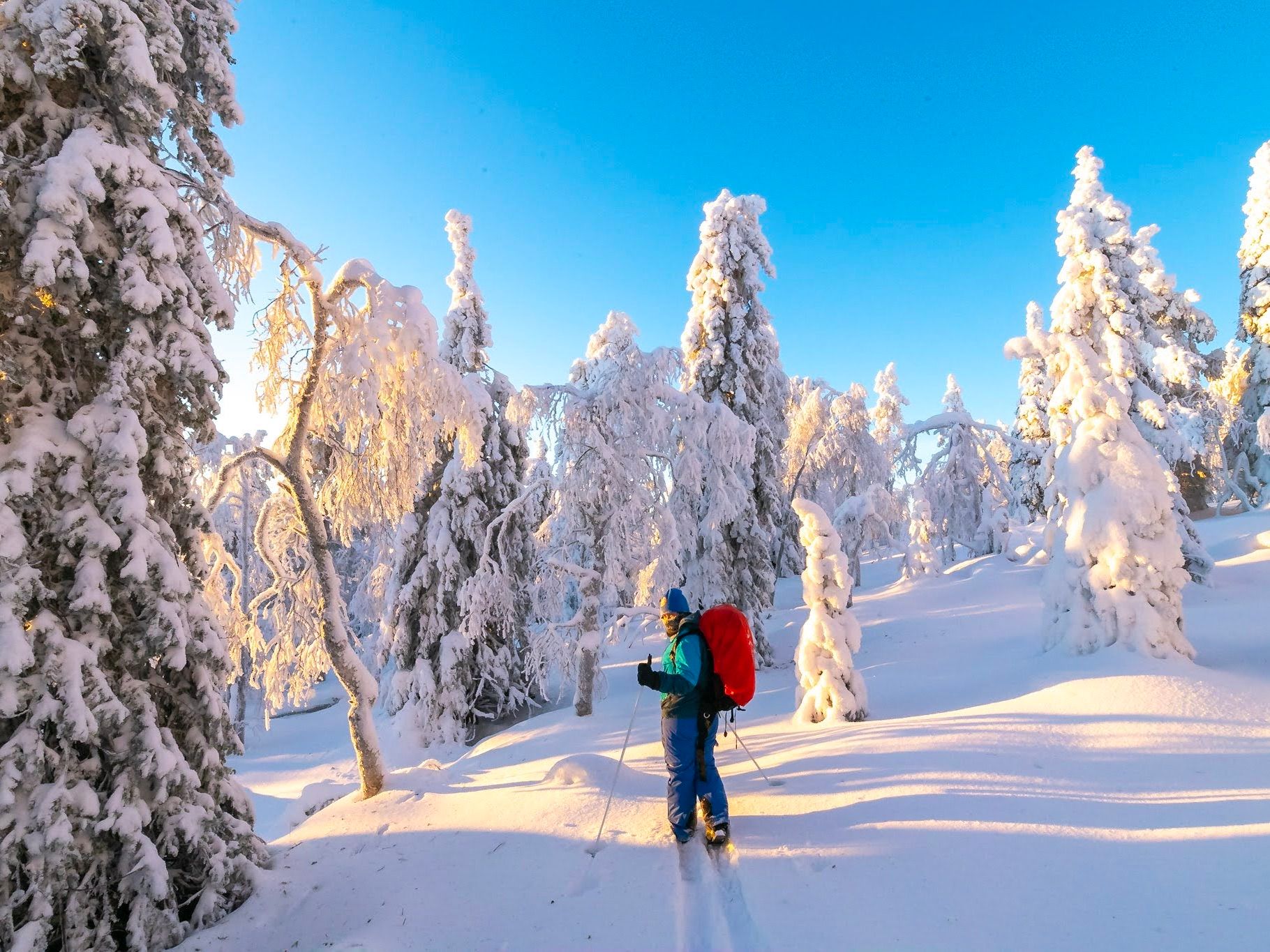 Sneeuwschoentocht in Riisitunturi National Park