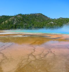 yellowstone national park 1129