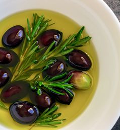 Olive oil farm