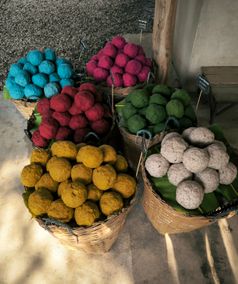 elephant poo poo paper thailand gids feb 2024 22