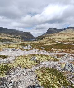 noordkaap_berglandschap_fietsen_natuur_innlandet_033