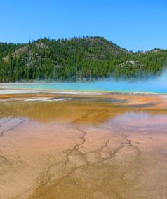 yellowstone national park 1129