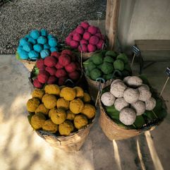 elephant poo poo paper thailand gids feb 2024 22