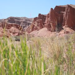 kirgizie_rotsformaties_landschap_natuur_skazka_canyon_004